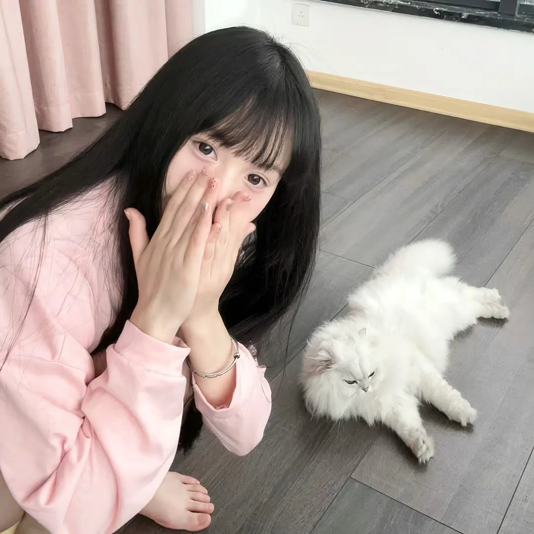 猪猪侠之囧囧危机